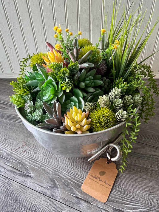 Medium Succulent Bowl