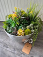 Medium Succulent Bowl