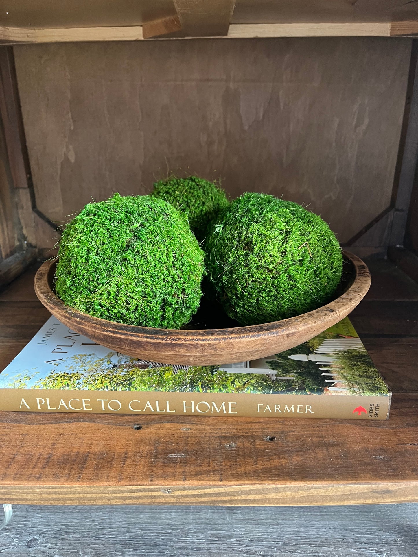 Old Wood Bowl with Moss Balls