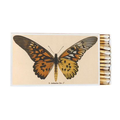 Matches - Butterfly