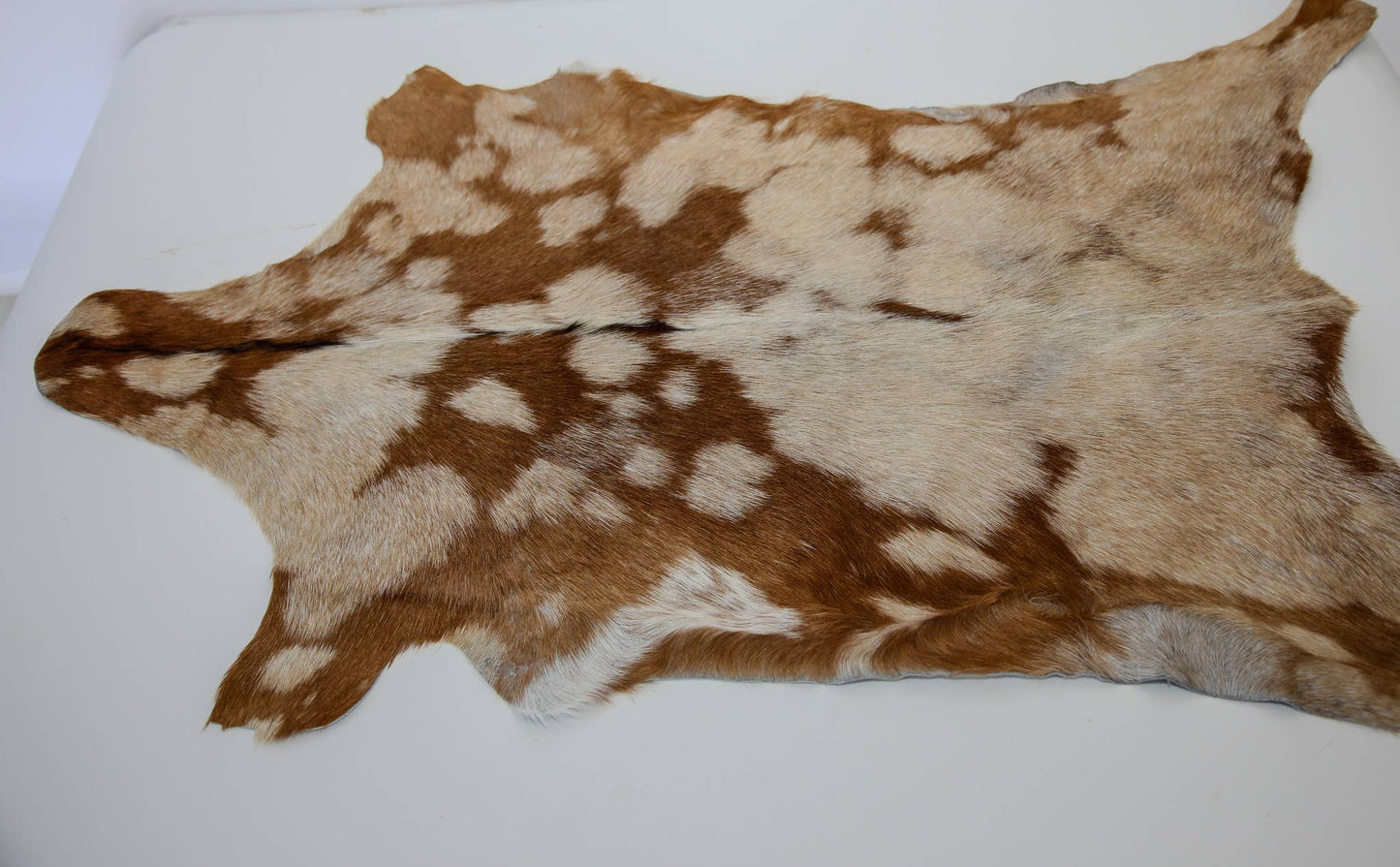 Goat Hide