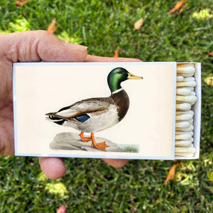 Matches - Mallard Duck
