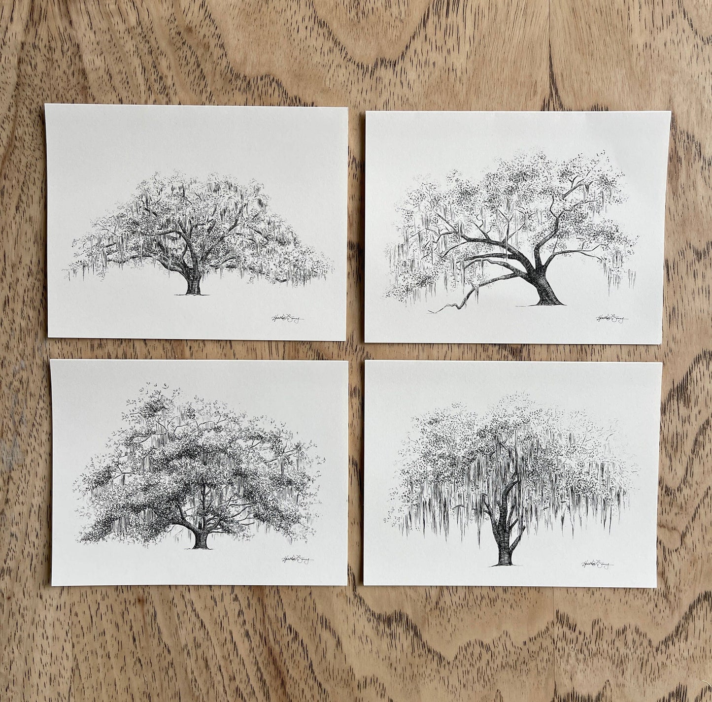 Oak Notes Boxed Stationery Set of 8