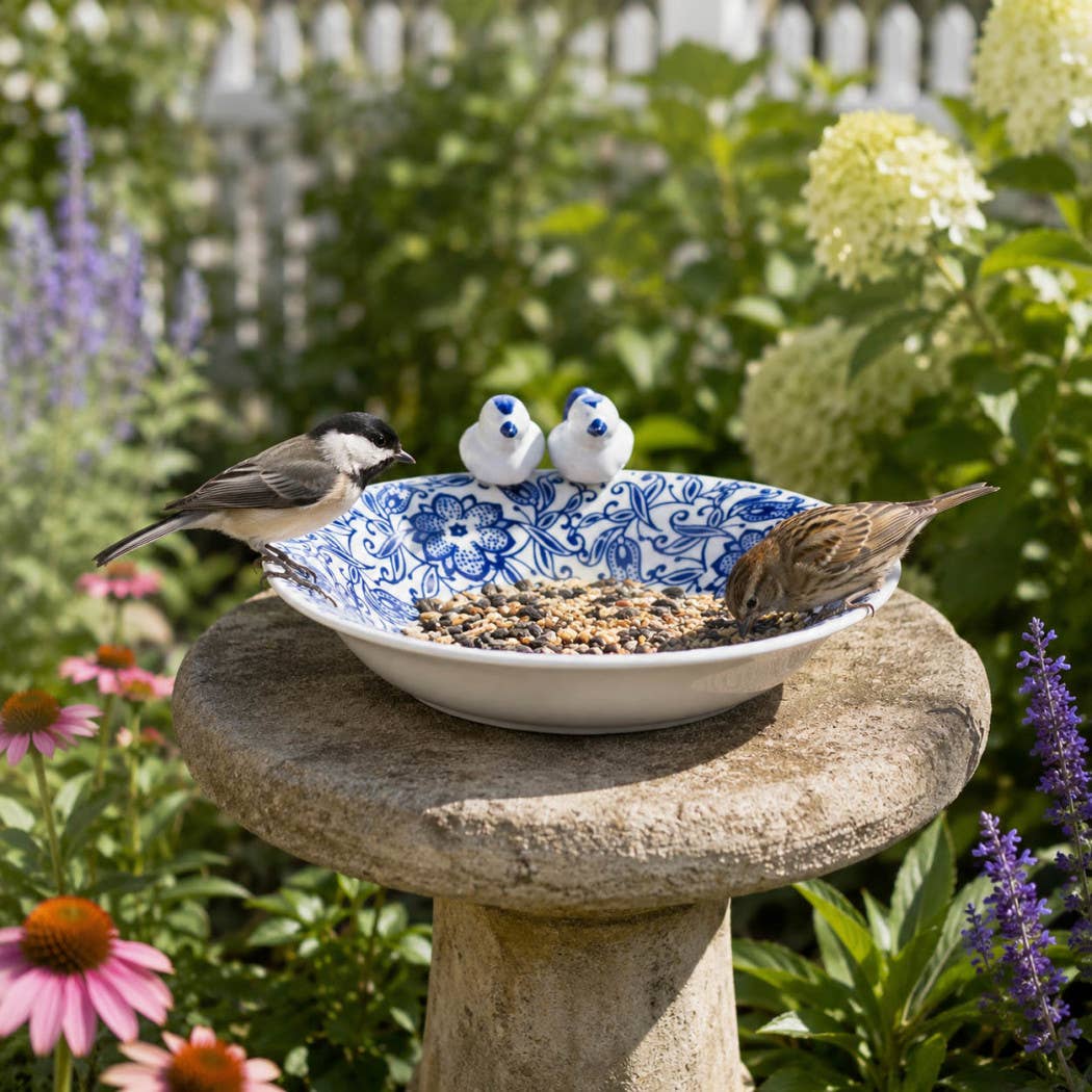 Bird  Feeder
