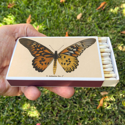 Matches - Butterfly