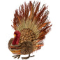 15" Lance Twig Feather Turkey Fall Autumn Thanksgiving