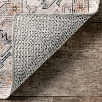 Darby Persian Stain Repellent Machine Washable Area Rug