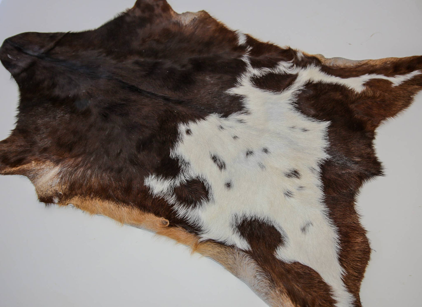 Goat Hide