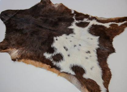 Goat Hide