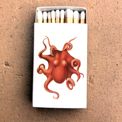 Matches - Octopus