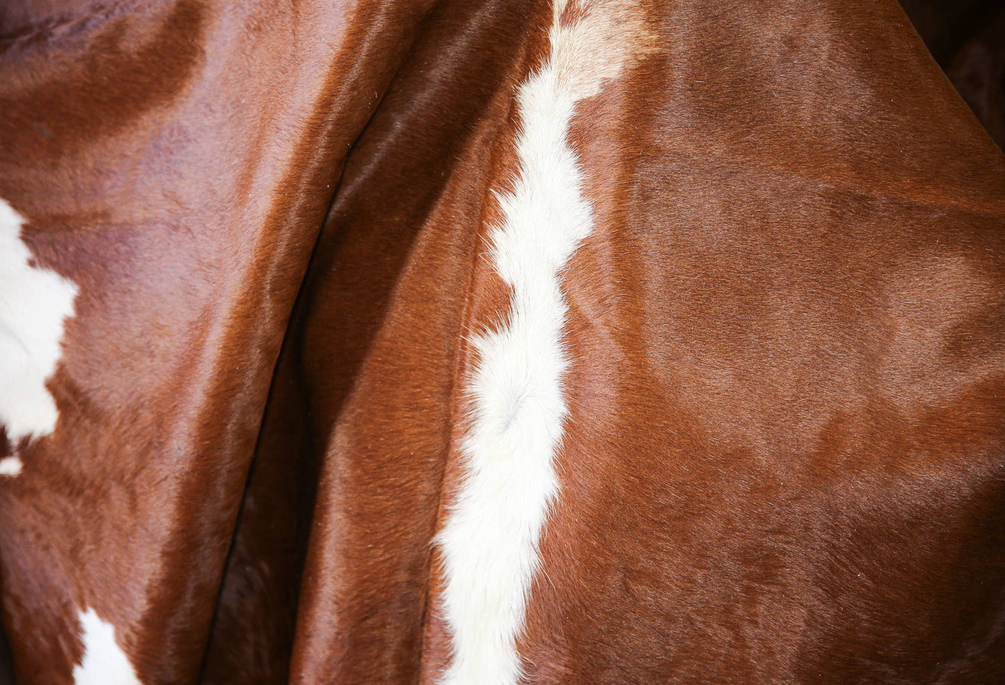 Small Cowhide Rug 5 x 7