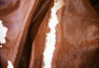 Small Cowhide Rug 5 x 7