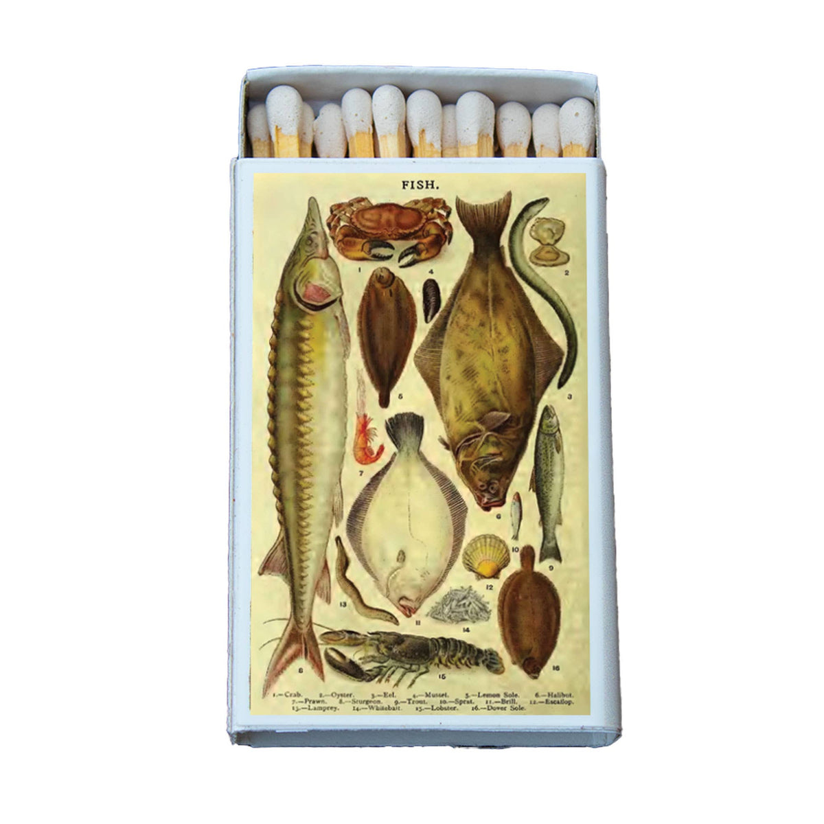 Matches - Fish Variety