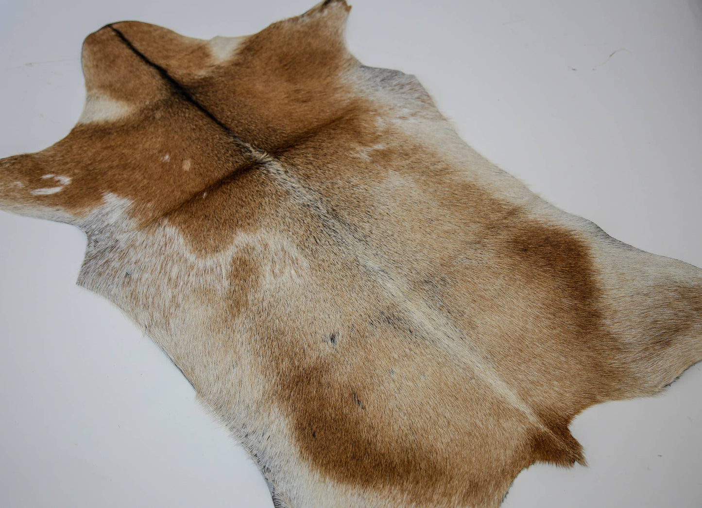 Goat Hide