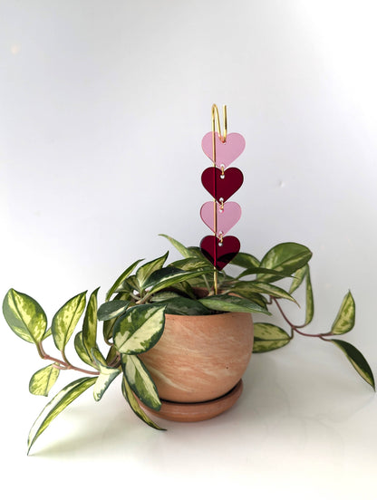 Plant Pick: Pink & Red Hearts