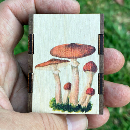 Matches - Mushroom Cluster - Wooden Matchboxes