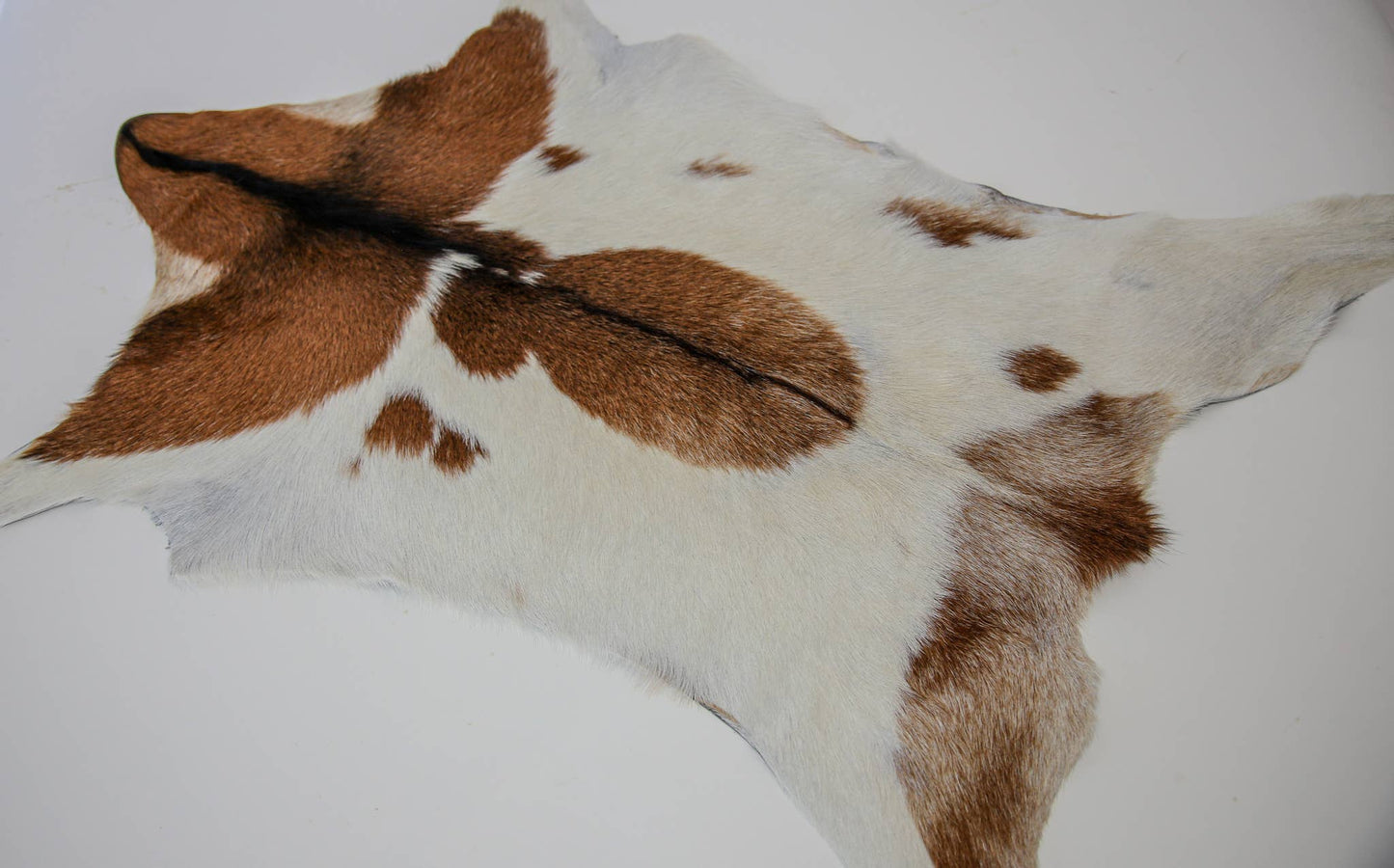 Goat Hide