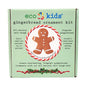 Gingerbread Ornament Kit