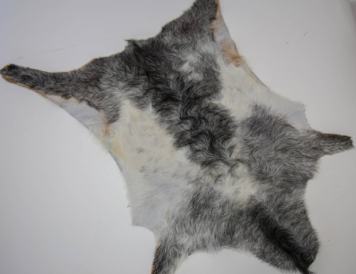 Goat Hide