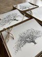 Oak Notes Boxed Stationery Set of 8