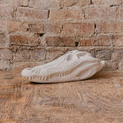 Hand Cast Plaster Alligator Skull