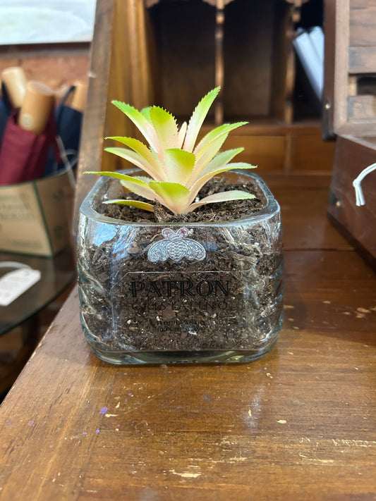 Patron Planter
